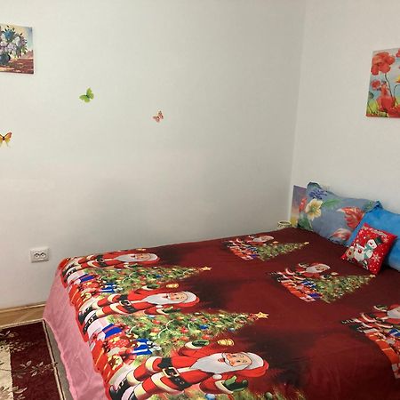 The Charming One Apartment Brasov Exterior photo